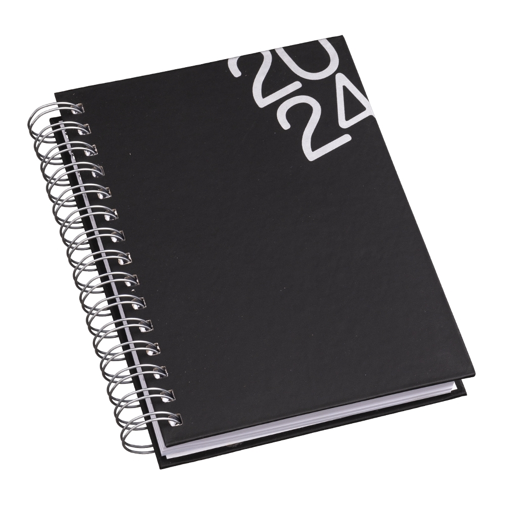 Agenda Diária 2024 Espiral Capa Lisa